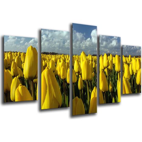 Cadre photo poster multicolore 165 x 62 cm (1/3)