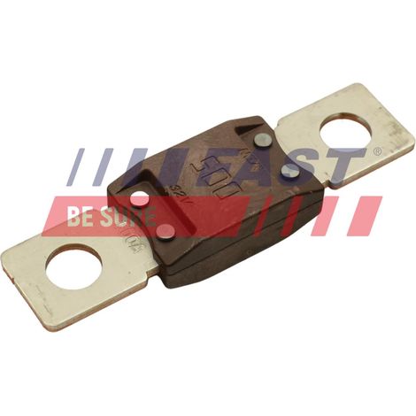 FT83404 fusibile rapido con terminali piatti (1/2)