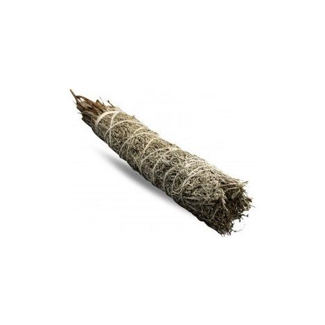Smudge Stick - Sauge Bleue 22,5 cm- Vendu par 1 (1/4)