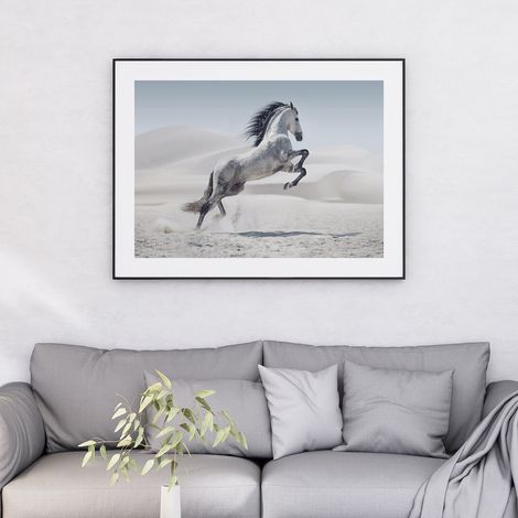Affiche / Poster - Cheval - 21x29,7 cm - Photo pleine page (1/5)