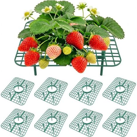 12 supports ronds pour fraises - 9 cm de hauteur, protection contre les limaces et le mildiou, support pour fraises, tomates et autres légumes du potager, en plastique réutilisable (1/5)