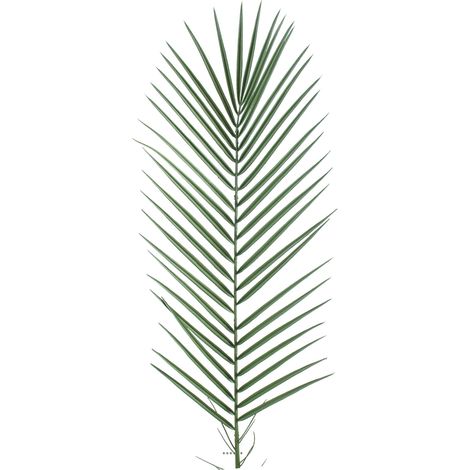 Feuille de Palmier Phoenix artificielle plastique PVC H 95 cm D 32 cm