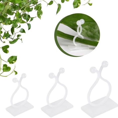 Pack of 100 plant clips for climbing plants, wall supports for plants, invisible and self-adhesive wall fixings for climbing plants, indoor and outdoor decoration (1/5)