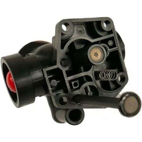 Carburateur Briggs Stratton sur réservoir 498811