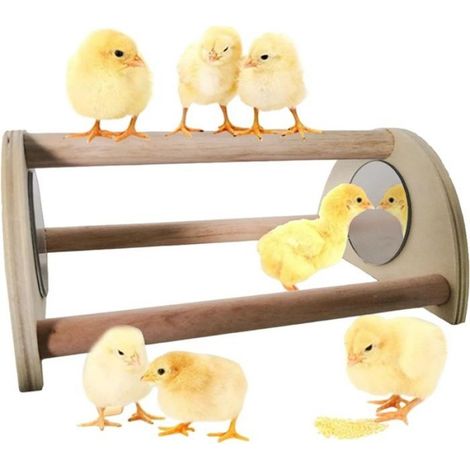 Pain au Poulet en pin avec Miroir,Perche de Poussin,Barre de perchoir en Bois pour couveuse avec Miroir,pour Les Grands Oiseaux (1/4)