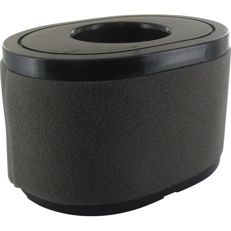 Filtro LONCIN LON180100109-0001
