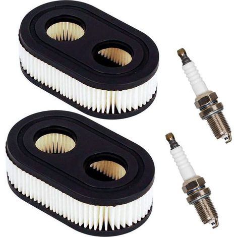 Öl- oder Luftfilter für Verbrennungsmotoren. Motorteile. Rasenmäher-Luftfilter mit 2 Zündkerzen. (1/5)
