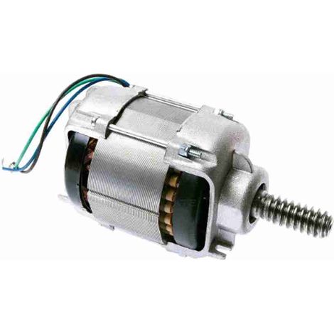 NICE WGA05 Motore Elettrico Assemblato 220V 230V WINGO WG5000 WG4000 Ricambio