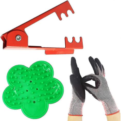 Ensemble professionnel de 3 pièces pour enlever les feuilles et les épines des rosiers et du jardin. (1/4)