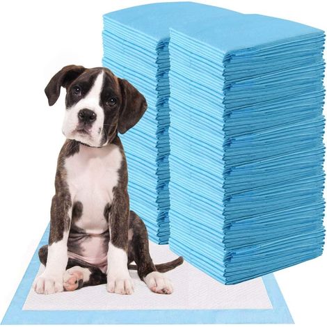 COSTWAY Trainingsunterlagen Hunde, Auslaufsicheres 5-lagiges Design, Welpenunterlagen Puppy-Pads, Hygieneunterlagen Einwegpads PIPI-Pads, Trainingspads Welpen (100 Stück 60x90cm) (1/5)