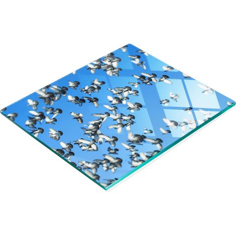 Tabla de cortar de cristal para cocina con decoración gráfica de una bandada de palomas, 60 x 52 cm. (1/5)