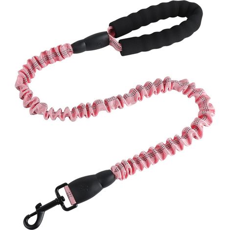 Laisse extensible réfléchissante pour chien, laisse élastique de dressage pour chiens (1/5)