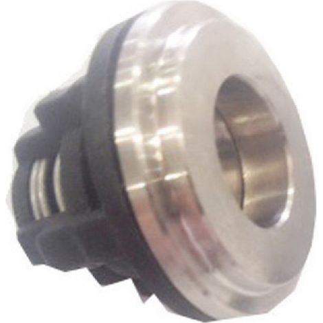 Valvula compatible con Os30Bg  Ref 445114