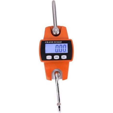 Balance Crochet Suspendu 300kg - Peson Electronique LCD Industriel 300kg/600lbs (1/4)