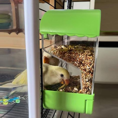 Mangeoire Automatique pour Oiseaux, Distributeur de Graines Anti-Gaspillage avec Perchoir pour Cage, Accessoire Pratique et Robuste pour Perroquets, Perruches et Canaris (1/5)