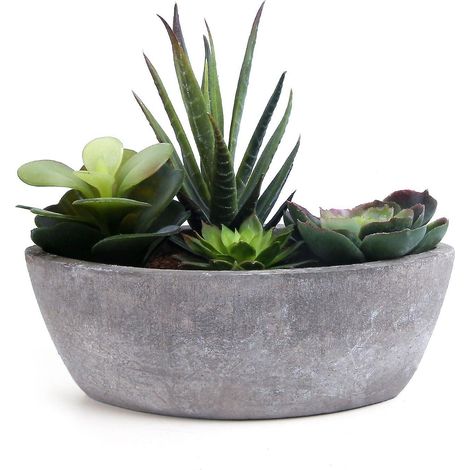 Plante succulente artificielle en forme de bateau, vert foncé, fausse plante décorative (bonsa)  À utiliser en intérieur ou en extérieur. (1/5)