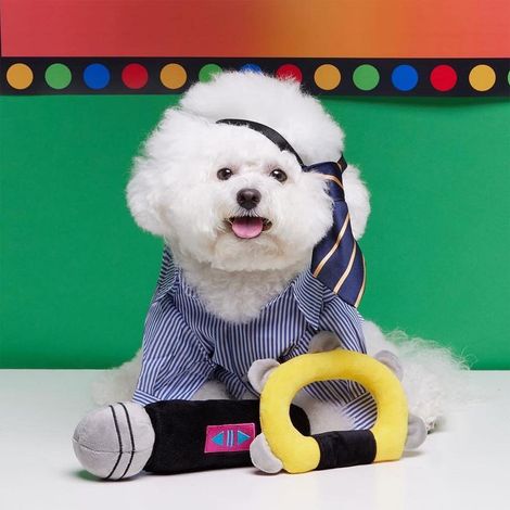 Microphone - Jouet Sonore Pour Chien - Studio Musical Enfant - Taille 10 X 6 Pouces - Jaune Et Noir - 1 Pièce (1/5)