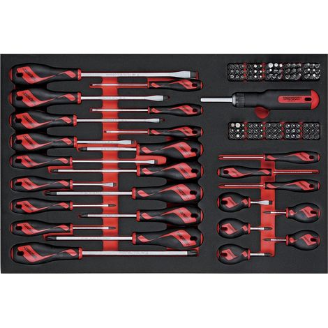 Jeu de tournevis et embouts Foam4x4 tray PLAT- PH- PZ- TX- TPX- HEX- GR 122 pièces Teng Tools TTEMD122N
