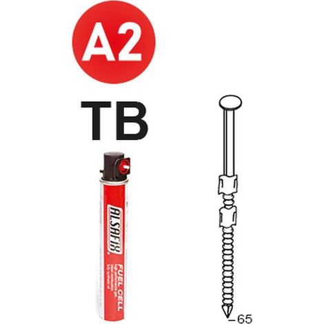 2 200 Pointes Annelées Inox Tête Bombée en Bande 20° (Pack) - 2.9x65 mm + 2 Cartouches de Gaz Rouge - D-Work