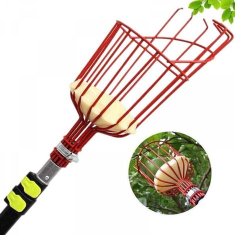 Cueilleur de fruits, outil pour cueillir les fruits hauts, perche non incluse, rouge (1/5)