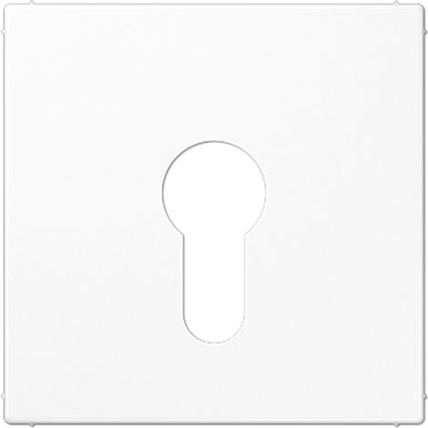 Placa central para mecanismo llave ejecución plana blanco - JUNG