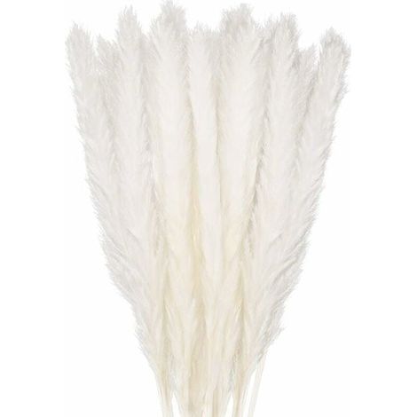 30 pcs Herbe de la Pampa, 58 cm Naturel Pampa Fleur Bouquet de Fleurs Sechees pour Vases, Blanc Boho Decoration Chambre Maison Salon, Mariage Photographier Table Décoration (1/5)