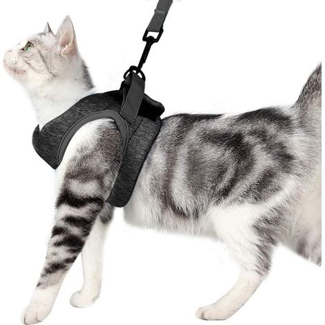 Ultraleichtes Katzengeschirr mit Leine, weiches und bequemes Kittenhalsband, Katzenlaufjacke, auslaufsicher, geeignet für Welpen und Kaninchen (Grau, M) (1/5)