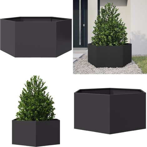 vidaXL Jardinière noir hexagone 104x90x45 cm acier (1/5)