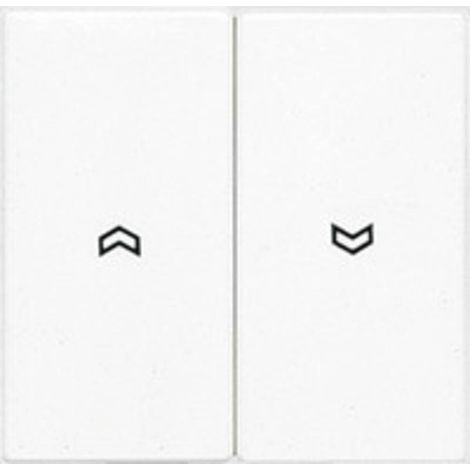 Doppia chiave per interruttore o pulsante di scatto WHITE JUNG LS 995 P WW (1/3)