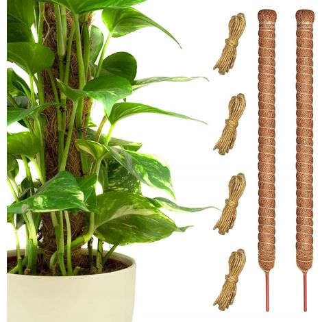 Flexible Kokosnussstütze für Kletterpflanzen, 71 cm, 2 Stück + Seile (1/2)