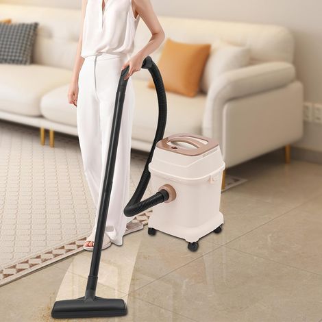 Staubsauger 1000W Teppich Reinigungsgerät mit 4-Universalräder, 17KPa Saugleistung, 18L Kapazität, Waschsauger Teppichreiniger für Sofas, Teppichen, Vorhängen, Betten (1/5)
