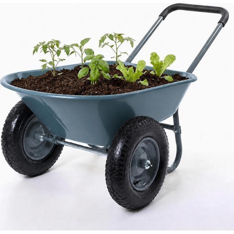Chariot de jardin à main Benne basculante Charge 270 kg Brouette polyvalente à 2 roues En Fer et polypropylène - Vert (1/5)