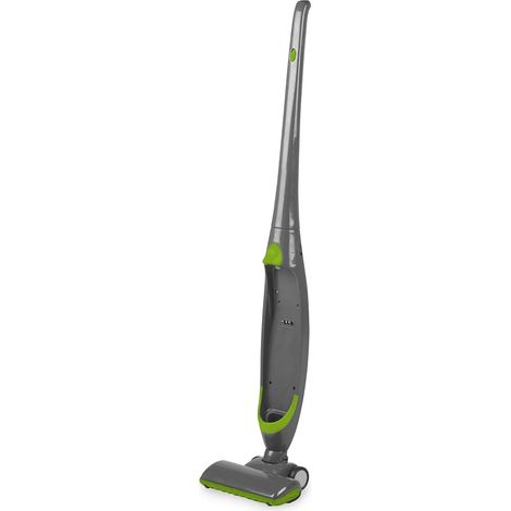 Kabelloser 2-in-1-Staubsauger, 100 W, 2200 mAh Akku