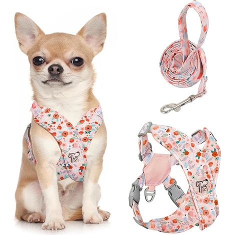 Harnais pour Chiens avec Laisse, Harnais Sécurisé Anti-Traction (1/5)