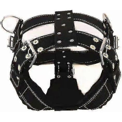 Harnais pour grand chien, harnais pour pitbull, collier pour grand chien, vente en gros de laisses et gilets pour chiens (1/4)