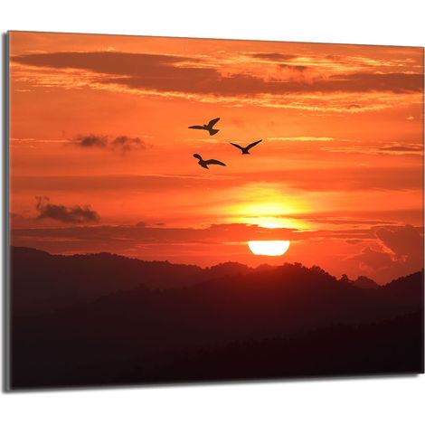 Placa protectora de vidrio para estufa 60x52 Sol (1/5)