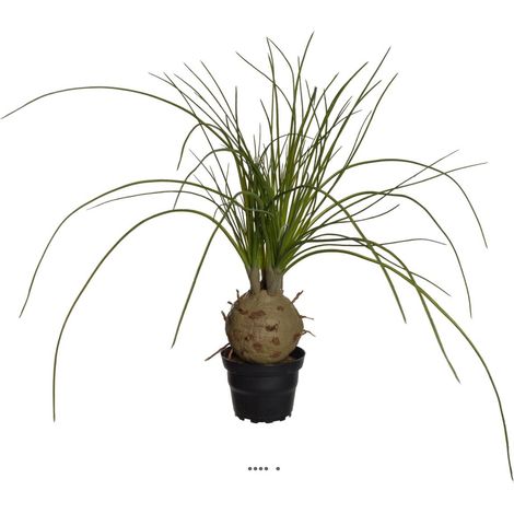 Palmier Beaucarnea artificiel en pot H 45 cm D 45 cm Très original