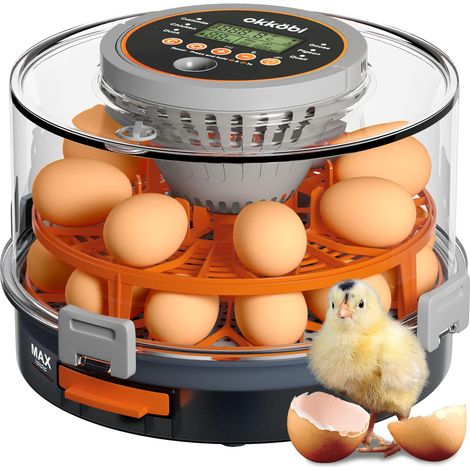 Automatischer Eierbrutapparat von Okköbi – Für 12 oder 20 Eier – Mit automatischer Wendefunktion und einstellbarer Luftfeuchtigkeit – Eierprüfer – Temperaturregelung – Einfache Bedienung