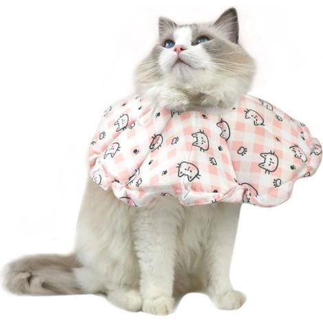 Collerette pour Chat Réglable Anti Lechage Collerette Douce pour Chat Collier de Protection Réglable pour Chat Après Chirurgie et Blessure (La Meilleure circonférence du Cou est de 12 à (1/5)