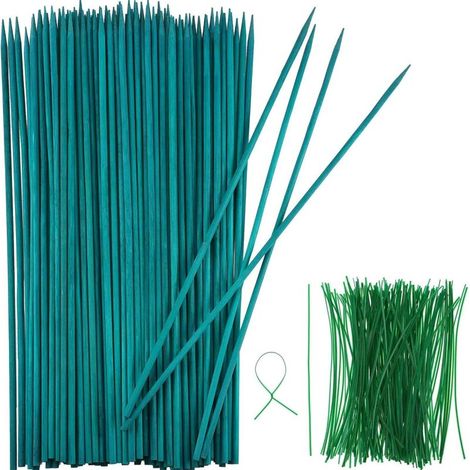Tuteur en bois vert, tuteur en bambou, piquets naturels pour plantes (1/5)