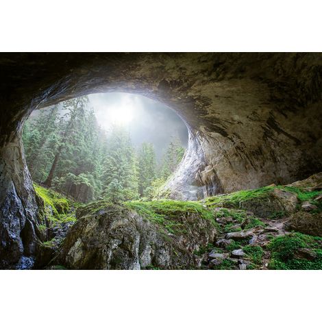 Papier peint panoramique nature vert et gris | Tapisserie panoramique grotte et forêt | Papier peint panoramique paysage pour chambre - 384 X 260 cm (8 pièces) (1/2)