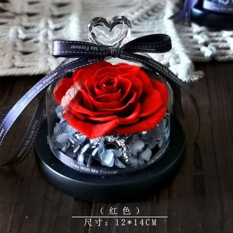 Nouveau amour bleu - Roses éternelles sous dôme de verre, nouveau cadeau romantique de noël, la belle et la b (1/4)