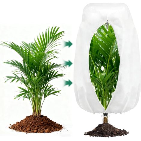 Voile Hivernage Plante Exterieur, 200240CM Housse Hivernage pour Plantes avec Cordon de Serrage et fermeture éclair, Housses de Protection Contre Le Gel, Bache Hivernage Protection Plante Hiver (1/5)