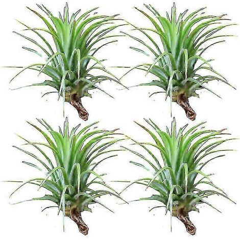 Lot de 4 plantes aériennes ornementales sans terre arrosage modéré faciles d'entretien pour vase d'intérieur décoration de maison - D (1/5)