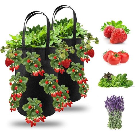 CSPARKV - Bolsas colgantes para plantar fresas (2 unidades), 13 agujeros, para fresas, hierbas y tomates - 11 litros (2 unidades, color negro)