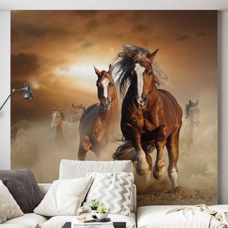 Papier peint panoramique - Chevaux - 130 cm x 129 cm (1/4)