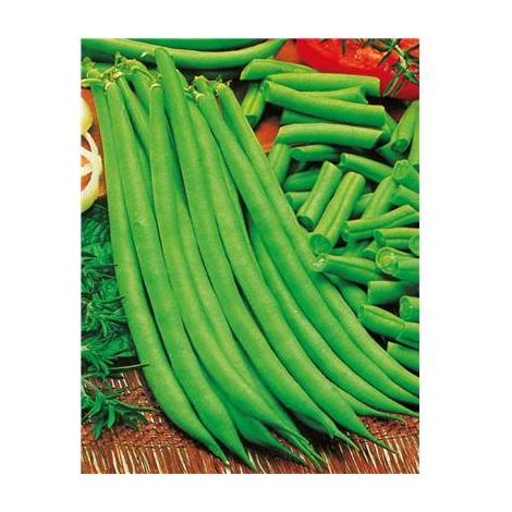 HARICOT NAIN PRIMEL - 150 G - GRAINES DE LÉGUMES