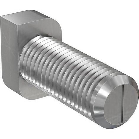 Vis à tête de marteau RHS 8,0x20 Acier inoxydable A2 Cond. 50