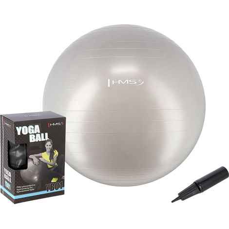 Ballon de gymnastique gris de 65 cm - Anti-éclatement et antidérapant (1/5)
