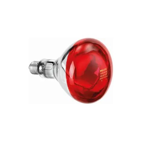 Ampoule Infrarouge IWL250D - Bartscher